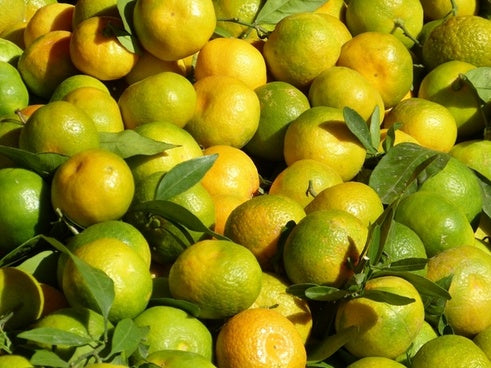 Tangerines